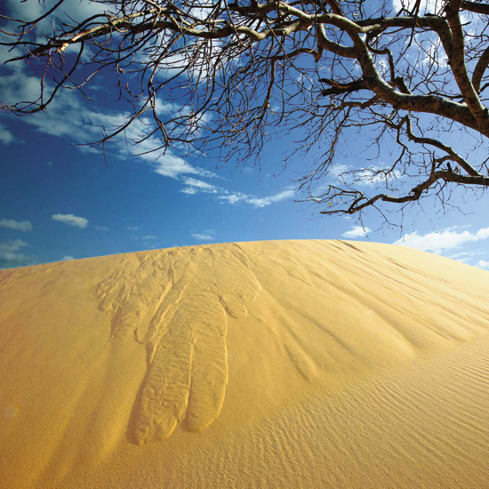 The multiple effects of the Phan Thiet breeze