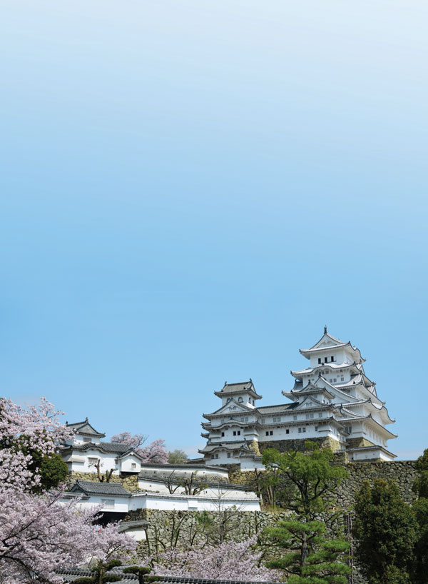 Falling in love with Japan (Part 2 of a 2 part series)