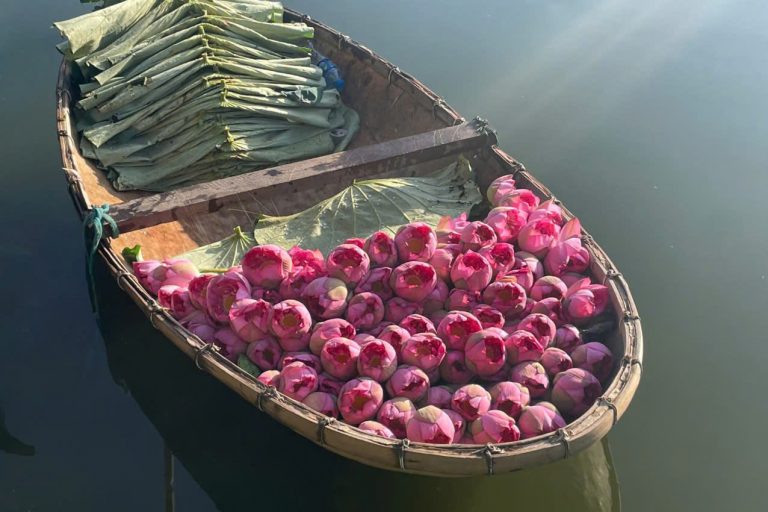 The Art of Tay Ho Lotus Tea: Preserving a Fragrant Heritage