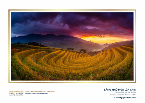 21.-Sáng-nhù-mùa-lúa-chín