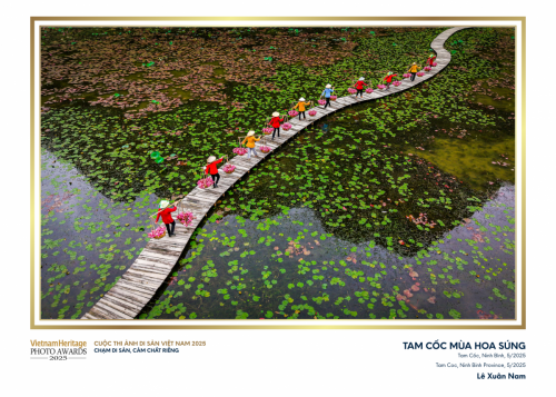 26.-Tam-Cốc-mùa-hoa-súng