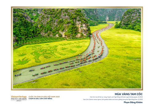 56.-Mùa-Vàng-Tam-Cốc